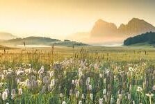 91麻豆精品视频-如何在当代网络中辨识和规避不良内容——基于91麻豆精品视频的讨论