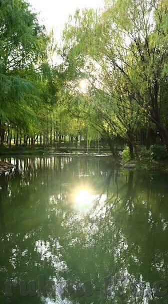 波多野结衣av一区二区三区中文-波多野结衣，从AV一区到三区的多面魅力
