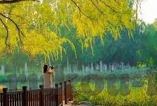 成人高清视频在线观看-成人高清视频的在线观看，理性审视与安全使用