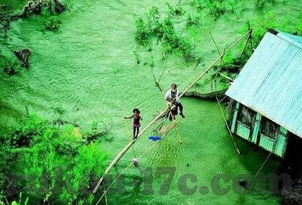 大象dx视频导航回家-大象DX，视频导航技术助力野生大象回归家园