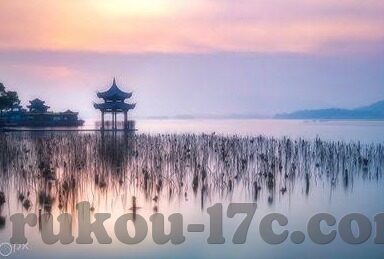 高清无码一区二区在线观看-高清无码一区二区在线观看，网络时代下的内容选择与伦理考量