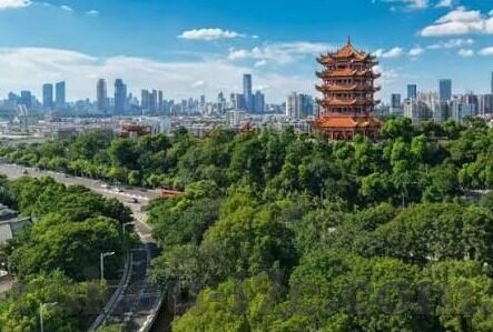 麻豆精品app-麻豆精品APP，打造个性化艺术娱乐新体验