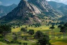 糖心app官网下载最新-体验科技与生活的完美融合，糖心APP官网下载最新的全新探索
