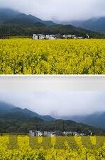 糖心app在哪里可以下载-解密，如何在不法途径外的安全区域获取糖心app的下载渠道