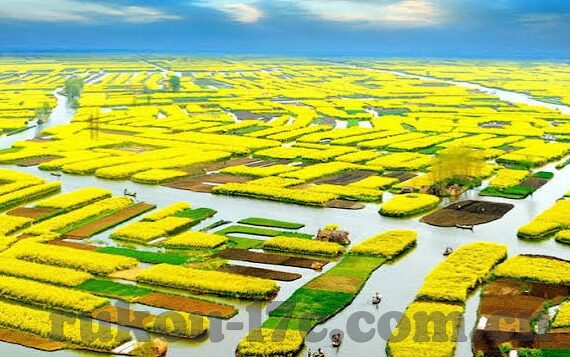 在线中文字幕有码中文-探索在线中文字幕的多元魅力，从文化交流到艺术欣赏的桥梁